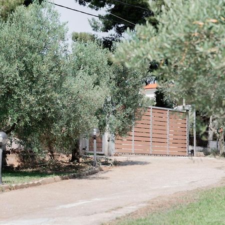 Apartmán Aelia Metamorfosi  Exteriér fotografie