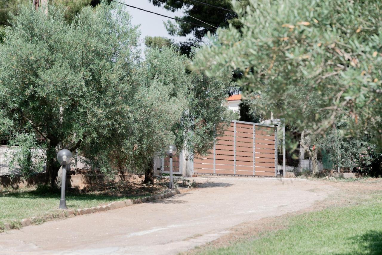 Apartmán Aelia Metamorfosi  Exteriér fotografie
